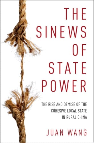 The Sinews Of State Power