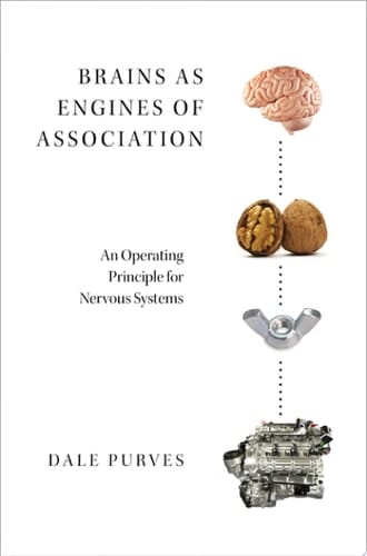 Brains As Engines Of Association