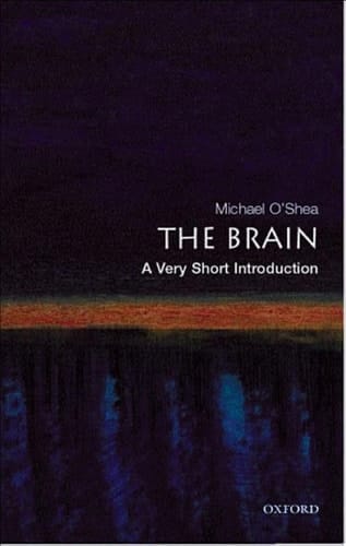 The Brain: A Very Short Introduction (Very Short Introductions)