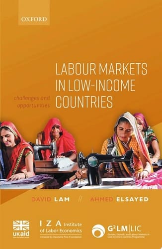 Labour Markets in Low-Income Countries: Challenges and Opportunities