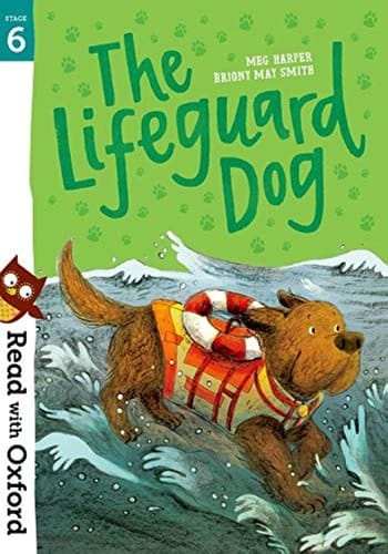 Stage 6: The Lifeguard Dog