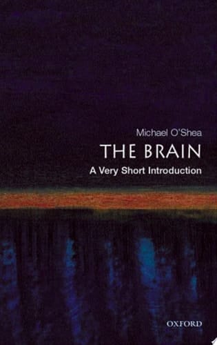 The Brain: A Very Short Introduction