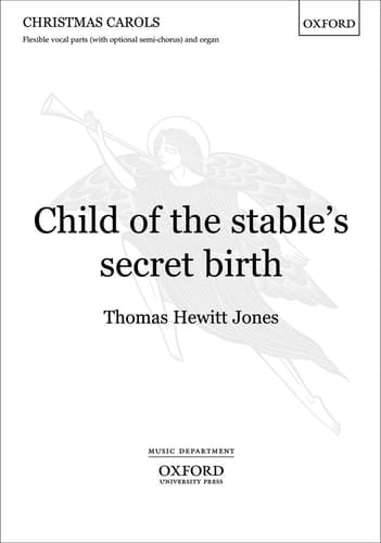 Child of the Stable's Secret Birth: Paperback