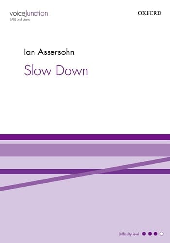 Slow Down (Voice Junction)