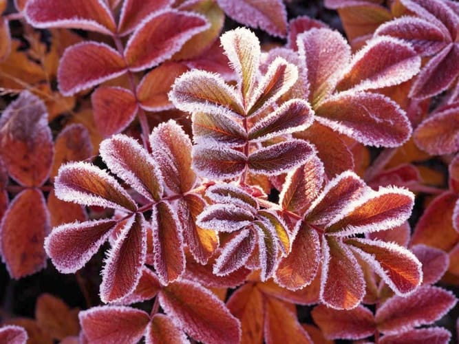 Little Women (Tales Retold 2nd)