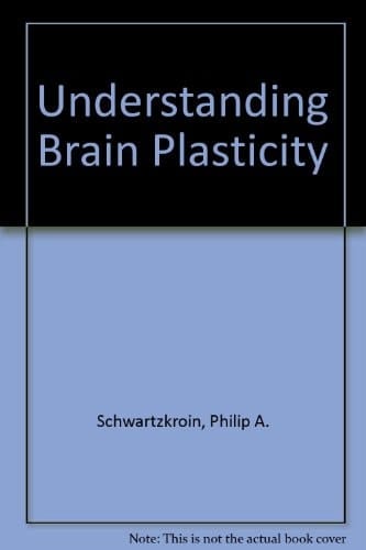 Understanding Brain Plasticity