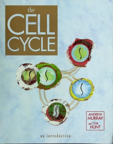 The Cell Cycle: An Introduction