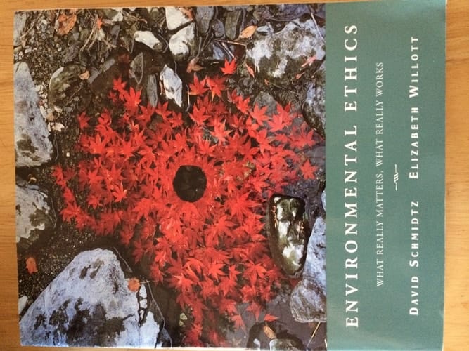 Environmental Ethics: What Really Matters, What Really Works