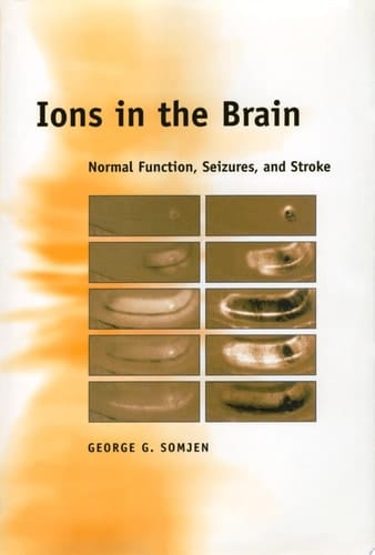 The Silk Road in World History (New Oxford World History)