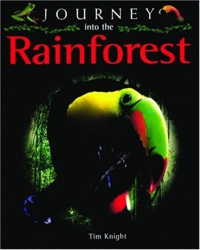 Journey into the Rainforest