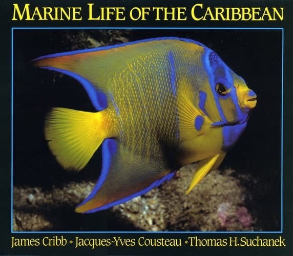 Marine Life of the Caribbean