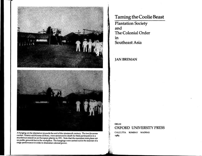 Taming the Coolie Beast: Plantation Society and the Colonial Order in Southeast Asia