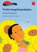 Tintfo Lengititsandzako