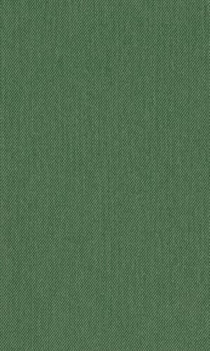 The Bright-Meyler Papers: A Bristol-West India Connection, 1732-1837 (Records of Social and Economic History, Vol 40)