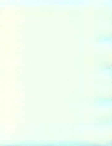 The Taming of A Shrew 1594 (Malone Society Reprints, 160)