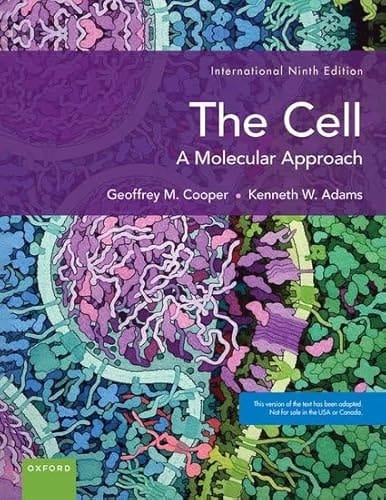 Cell XE: A Molecular Apoproach