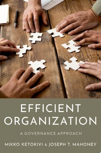 Efficient Organization: A Governance Approach