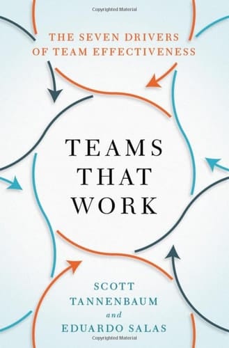 Teams That Work The Seven Drivers of Team Effectiveness