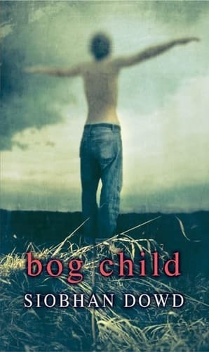 Rollercoasters: Bog Child: Siobhan Dowd