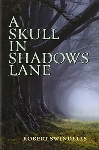 Rollercoasters Skull in Shadows Reader