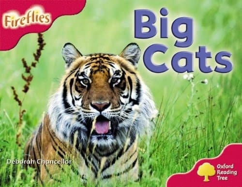 Oxford Reading Tree: Stage 4: More Fireflies A: Big Cats