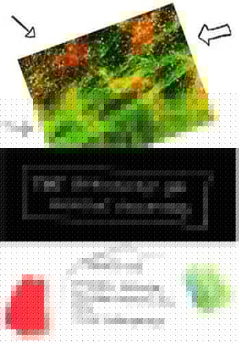 The Physiology of Cognitive Processes