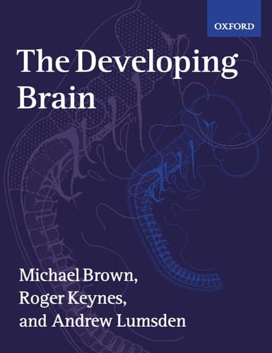 The Developing Brain