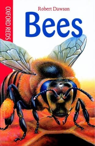 Bees (Oxford Reds)