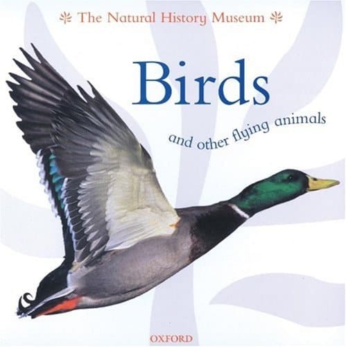 Birds and Other Flying Animals