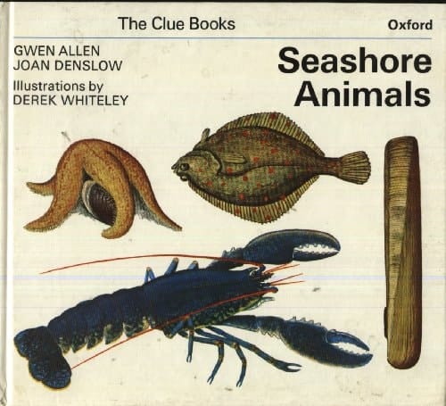Clue Books: Seashore Animals