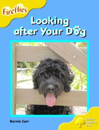 Oxford Reading Tree: Stage 5: Fireflies: Looking After Your Dog