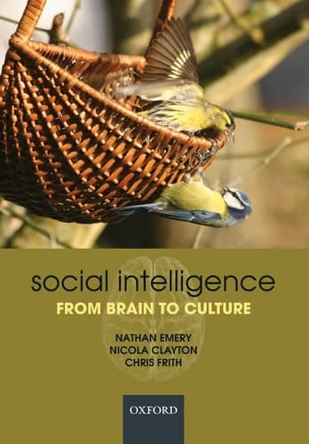 Social Intelligence: From brain to culture