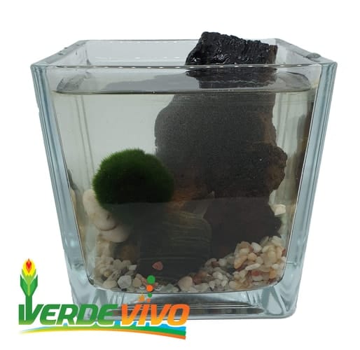 Things That Come In Groups: Multiplication and Division, Investigations in Number, Data, and Space, Grade 3