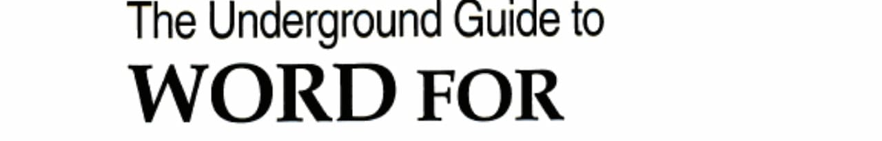 The Underground Guide to Word for Windows: Slightly Askew Advice from a Winword Wizard