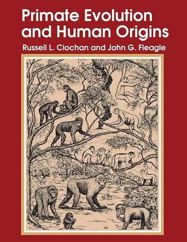 Primate Evolution and Human Origins (Foundations of Human Behavior)