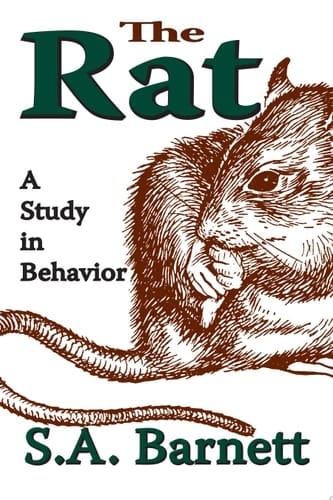 The Rat