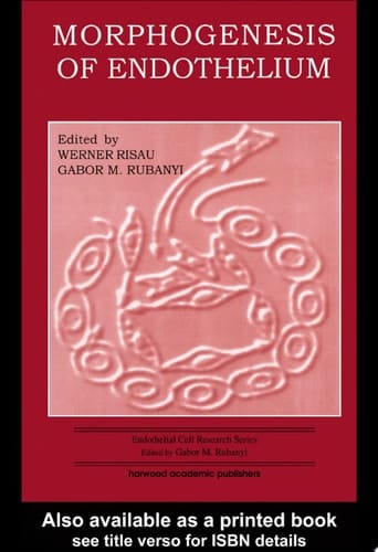 Morphogenesis Of Endothelium