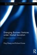 Emerging Business Ventures Under Market Socialism