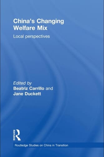 China's changing welfare mix: local perspectives
