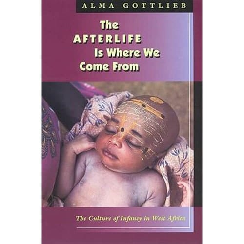 The Afterlife Is Where We Come From