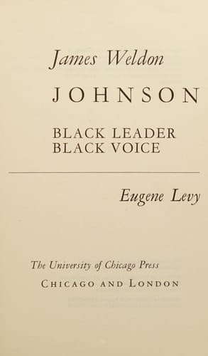 James Weldon Johnson, Black Leader, Black Voice