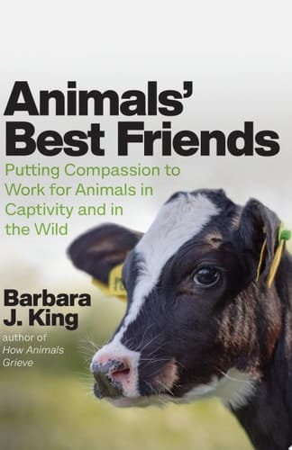 Animals' Best Friends
