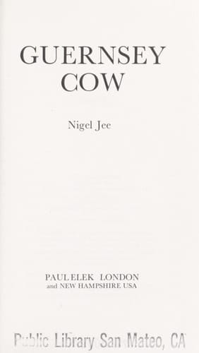 Guernsey Cow