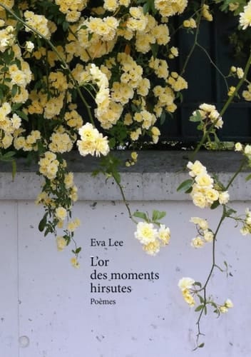 L'OR DES MOMENTS HIRSUTES.
