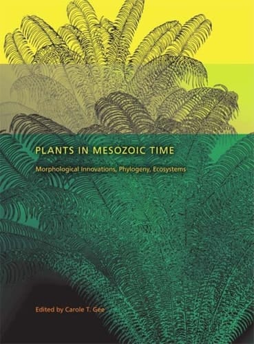 Plants in Mesozoic Time Morphological Innovations, Phylogeny, Ecosystems