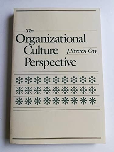 The organizational culture perspective