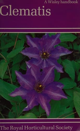 Clematis