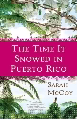 The Time It Snowed in Puerto Rico A Novel