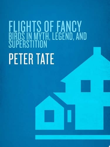 Flights of Fancy