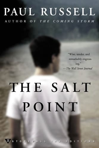 The Salt Point A Novel